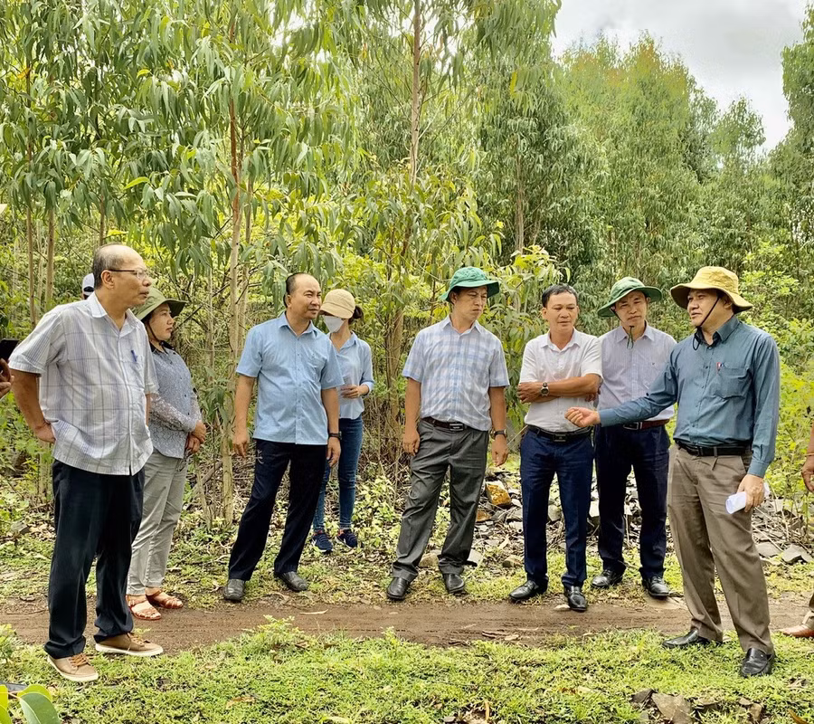 Đoàn kiểm tra việc hoàn thổ, cải tạo phục hồi môi trường tại điểm mỏ đá bazan tại thị trấn Kông Chro của Công ty TNHH một thành viên Đào Kỳ (đã đóng cửa mỏ). Ảnh: Nhật Hào