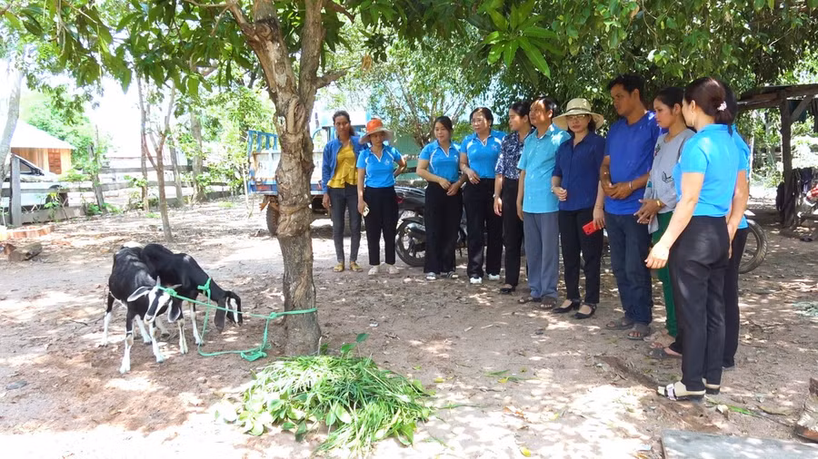 Ủy ban MTTQ Việt Nam huyện Chư Prông hỗ trợ sinh kế giúp hộ nghèo có điều kiện phát triển kinh tế để vươn lên thoát nghèo