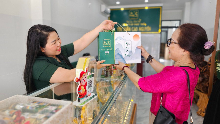 Hiện nay, 3 sản phẩm làm từ yến của Công ty cổ phần phát triển Yến Xuân Cao Nguyên đã đạt chứng nhận OCOP 3 sao. Ảnh: Bá Bính