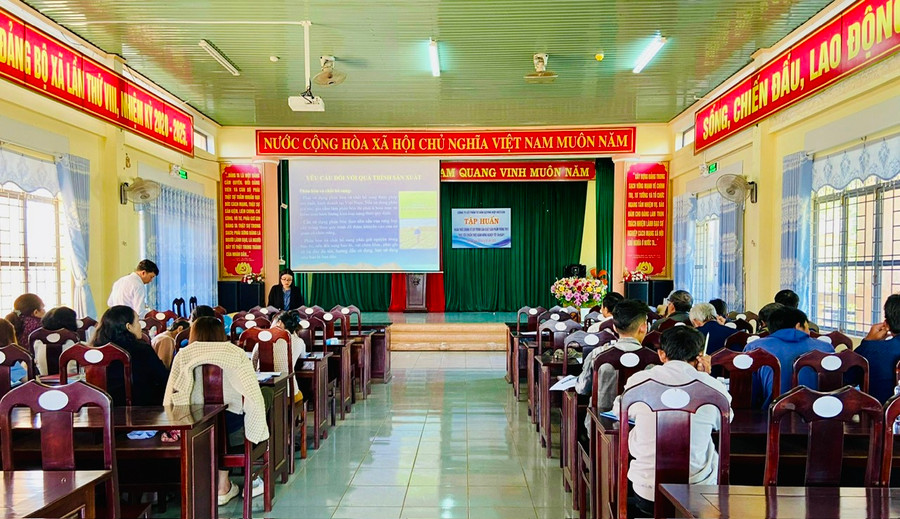 Quang cảnh buổi tập huấn. Ảnh: Nhật Hào