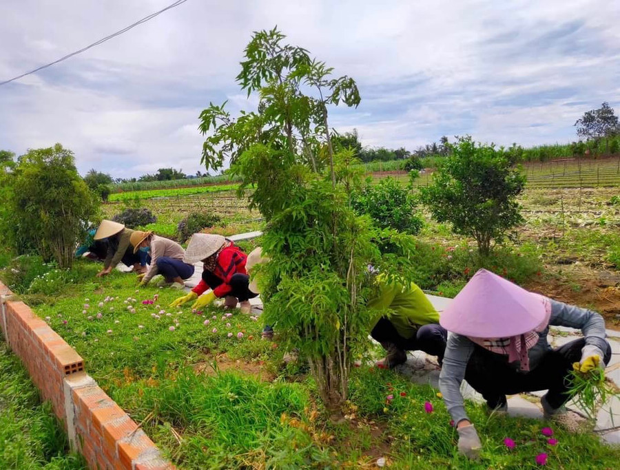 Hội viên phụ nữ xã Tân An chăm sóc con đường hoa trước Tết Nguyên đán. Ảnh: Nhật Hào Hội viên phụ nữ xã Tân An chăm sóc con đường hoa trước Tết Nguyên đán. Ảnh: Nhật Hào