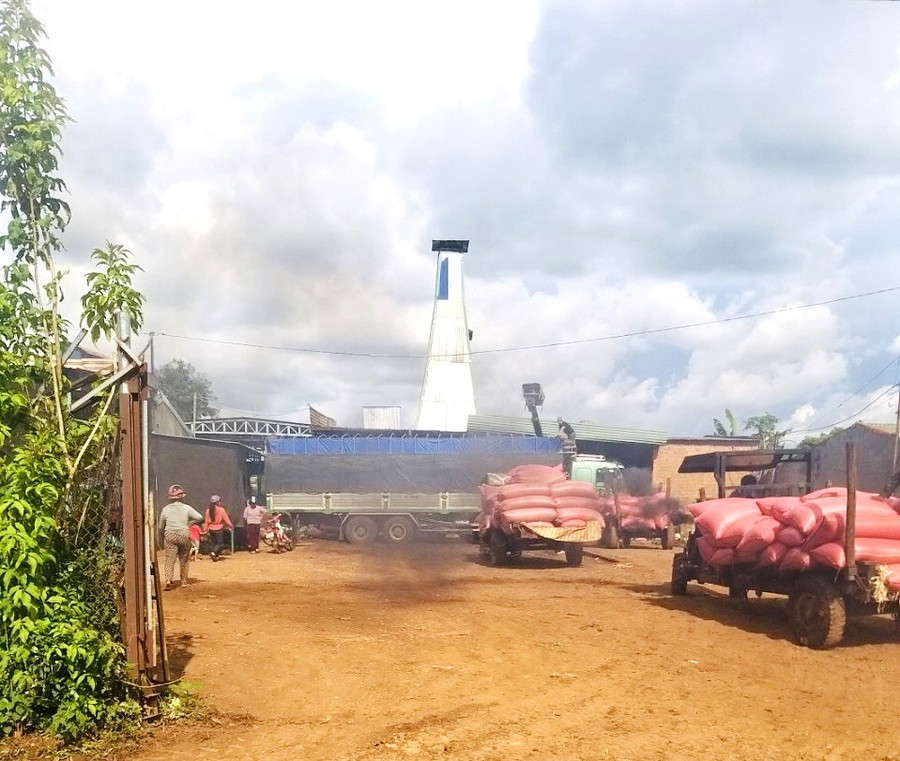 Hình ảnh cơ sở kinh doanh nông sản Bảy Gắng. Ảnh: Nhật Hào