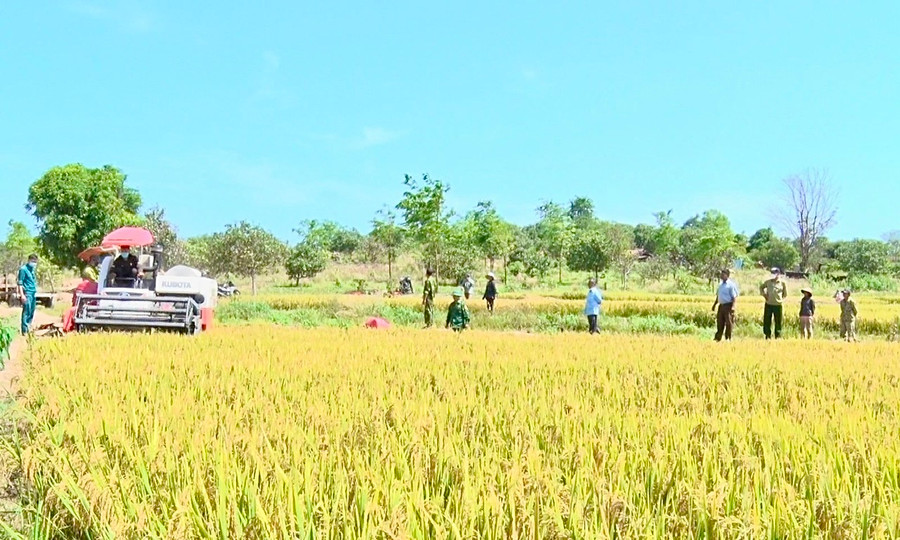 Điểm nổi bật trong 5 năm qua là các cấp mặt trận đã tích cực phối hợp với các ban, ngành, đoàn thể tuyên truyền, vận động người dân tộc thiểu số trên địa bàn trồng lúa nước. Điểm nổi bật trong 5 năm qua là các cấp mặt trận đã tích cực phối hợp với các ban, ngành, đoàn thể tuyên truyền, vận động người dân tộc thiểu số trên địa bàn trồng lúa nước.