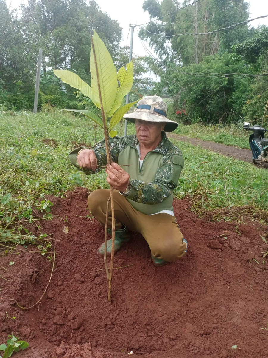 Cán bộ, đoàn viên, hội viên và Nhân dân phường Đống đa và làng Kép đã trồng 250 cây xanh tại các khu vực công cộng. Ảnh: Hồng Thương Cán bộ, đoàn viên, hội viên và Nhân dân phường Đống đa và làng Kép đã trồng 250 cây xanh tại các khu vực công cộng. Ảnh: Hồng Thương