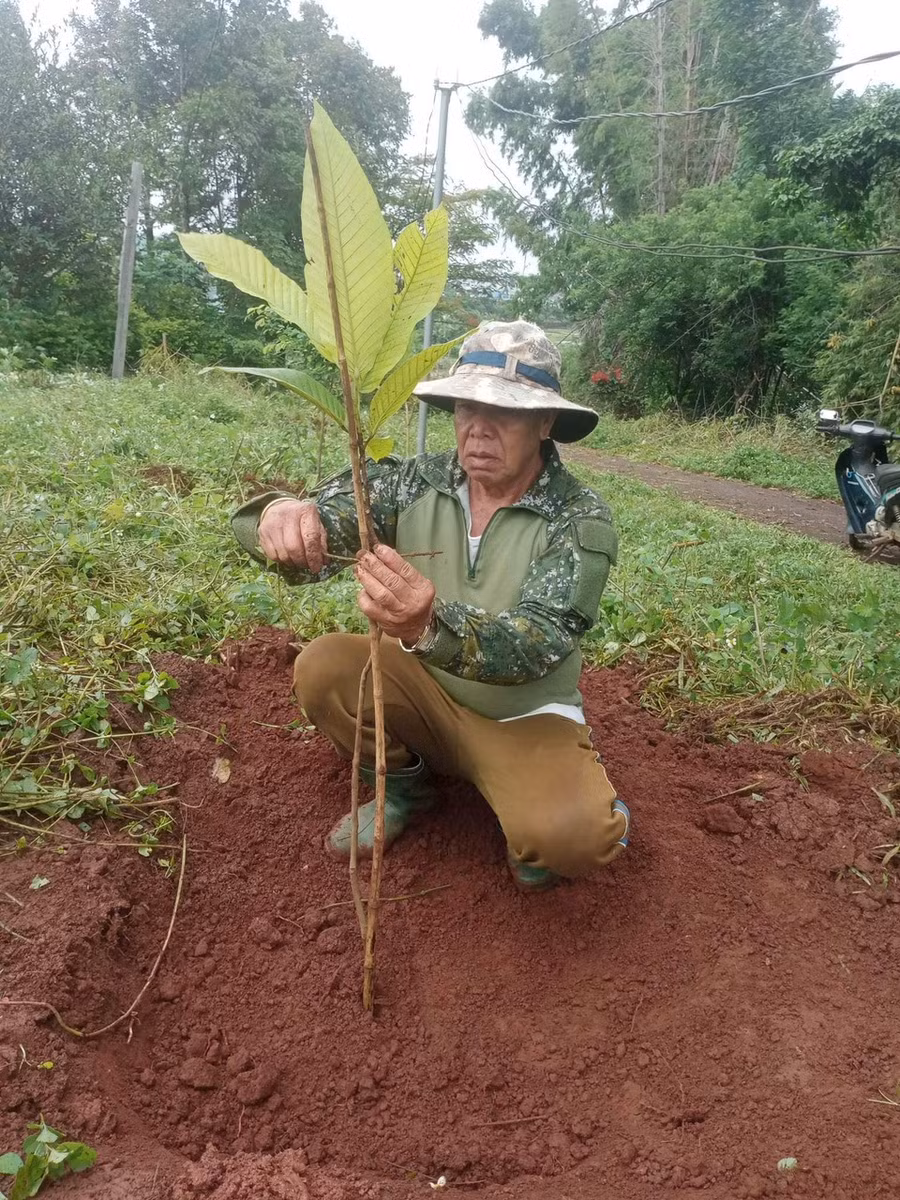 Cán bộ, đoàn viên, hội viên và Nhân dân phường Đống đa và làng Kép đã trồng 250 cây xanh tại các khu vực công cộng. Ảnh: Hồng Thương