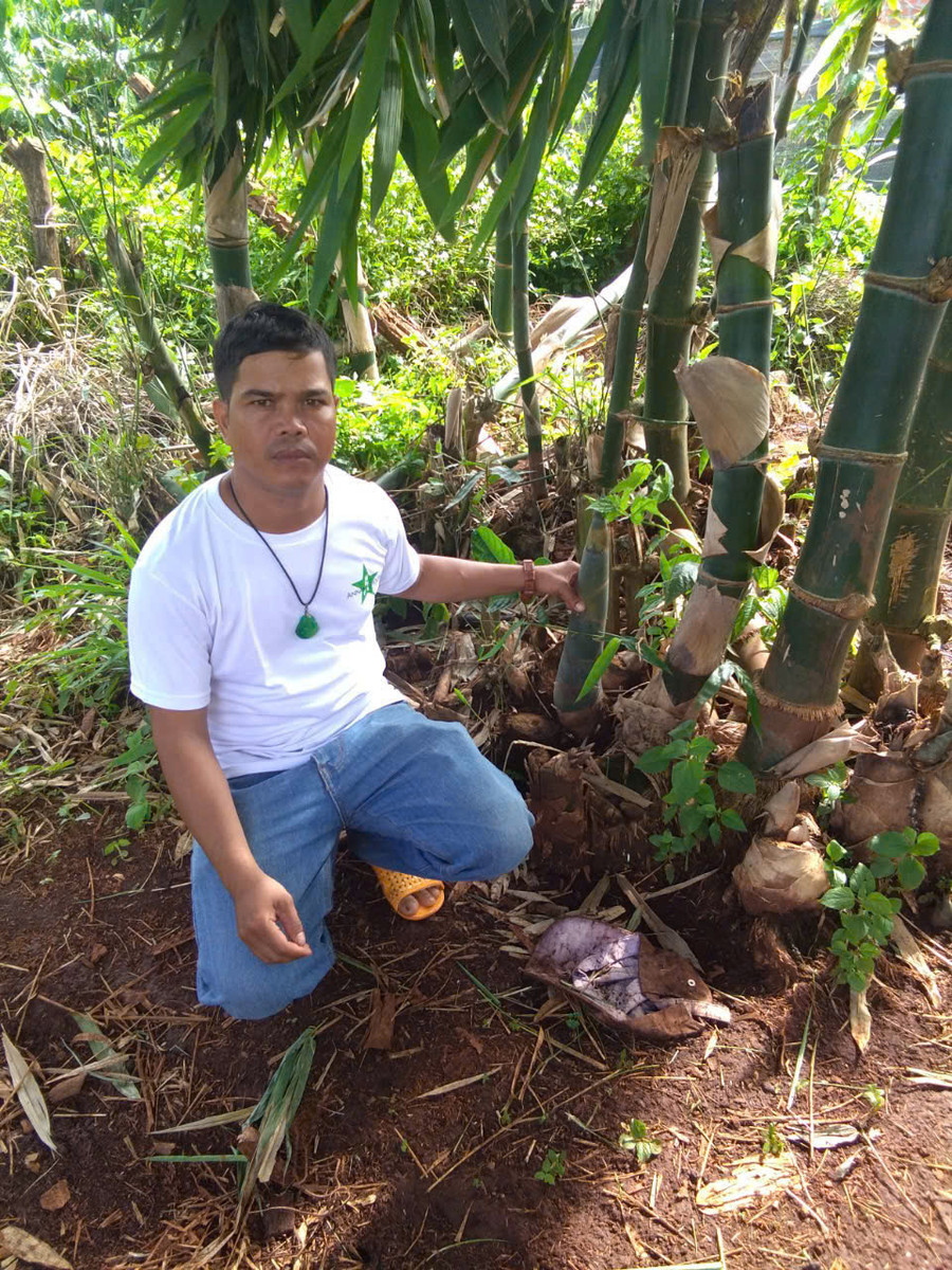 Gia đình Xuất bắt đầu có thu nhập từ trồng tre lấy măng. Ảnh: Nhật Hào Gia đình Xuất bắt đầu có thu nhập từ trồng tre lấy măng. Ảnh: Nhật Hào
