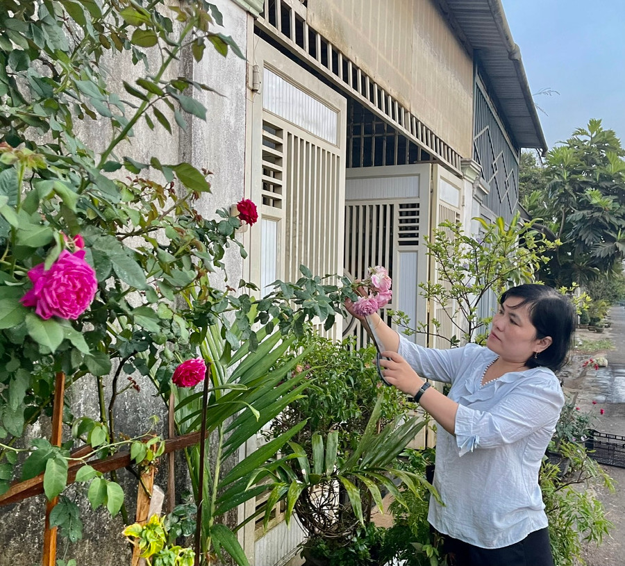 Chị Nguyễn Thị Nụ chăm sóc cây cảnh trước nhà. Ảnh: Nhật Hào Chị Nguyễn Thị Nụ chăm sóc cây cảnh trước nhà. Ảnh: Nhật Hào