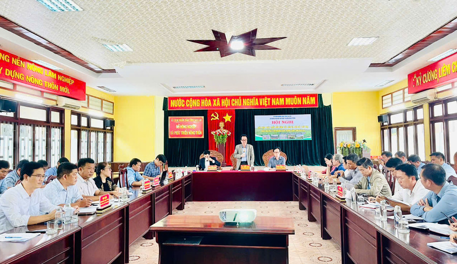 Quang cảnh Hội nghị &quot;Giải pháp phát triển bền vững cây sắn và liên kết tiêu thụ giữa nhà máy với người dân trồng sắn tỉnh Gia Lai”. Ảnh: Hồng Thương