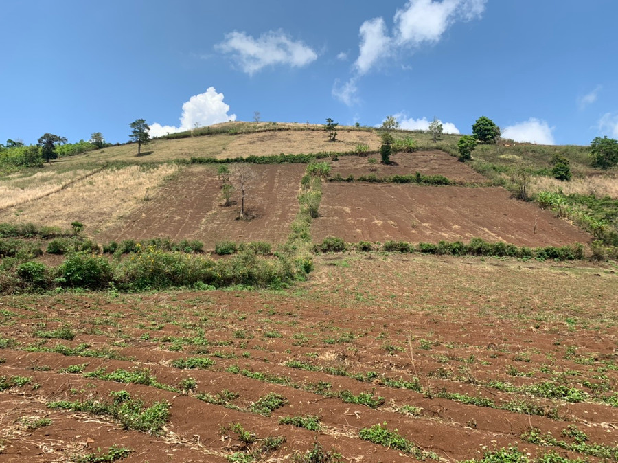 Khu vực đất nông nghiệp dưới chân núi lửa Chư Đăng Ya, (xã Chư Đăng Ya, huyện Chư Păh). Ảnh: Hồng Thương Khu vực đất nông nghiệp dưới chân núi lửa Chư Đăng Ya, (xã Chư Đăng Ya, huyện Chư Păh). Ảnh: Hồng Thương