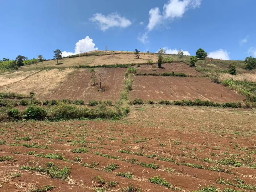 Khu vực đất nông nghiệp dưới chân núi lửa Chư Đăng Ya, (xã Chư Đăng Ya, huyện Chư Păh). Ảnh: Hồng Thương