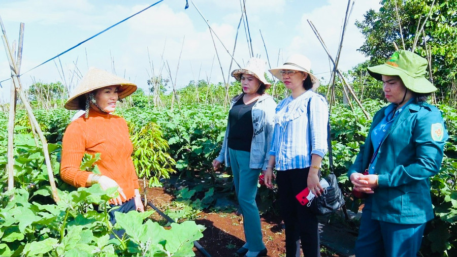 Các cấp mặt trận và các tổ chức thành viên cũng tích cực phối hợp với các phòng ban chuyên môn thuộc huyện và UBND các xã, thị trấn vận động người dân cải tạo vườn tạp, sử dụng các giống cây trồng mới có chất lượng cao và áp dụng các tiến bộ khoa học kỹ thuật để tăng hiệu quả sản xuất. Các cấp mặt trận và các tổ chức thành viên cũng tích cực phối hợp với các phòng ban chuyên môn thuộc huyện và UBND các xã, thị trấn vận động người dân cải tạo vườn tạp, sử dụng các giống cây trồng mới có chất lượng cao và áp dụng các tiến bộ khoa học kỹ thuật để tăng hiệu quả sản xuất.