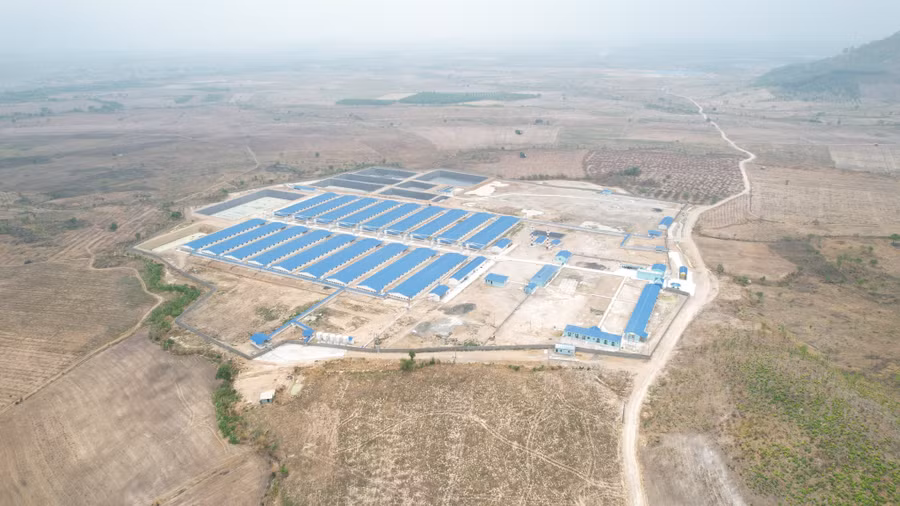 Hình ảnh các trang trại chăn nuôi heo bị xử phạt được chụp từ Flycam. Ảnh: Nhật Hào