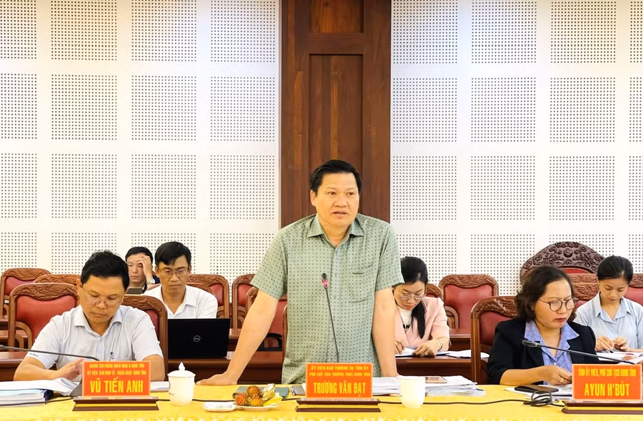 Phó Chủ tịch Thường trực HĐND tỉnh Gia Lai Trương Văn Đạt phát biểu tại buổi làm việc. Ảnh: Nhật Hào