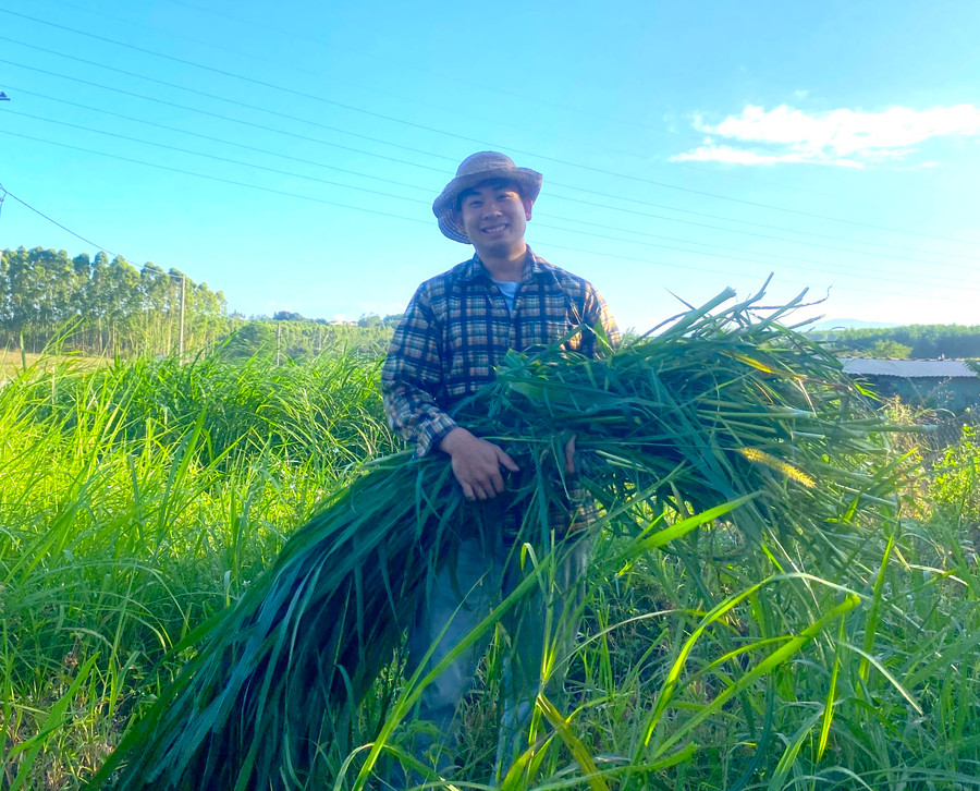 Sau khi nhận giấy trúng tuyển nghĩa vụ anh Từ Tấn Ngọc xin nghỉ việc về nhà phụ giúp gia đình, chờ ngày lên đường tòng quân. Ảnh: Ngọc Minh Sau khi nhận giấy trúng tuyển nghĩa vụ anh Từ Tấn Ngọc xin nghỉ việc về nhà phụ giúp gia đình, chờ ngày lên đường tòng quân. Ảnh: Ngọc Minh