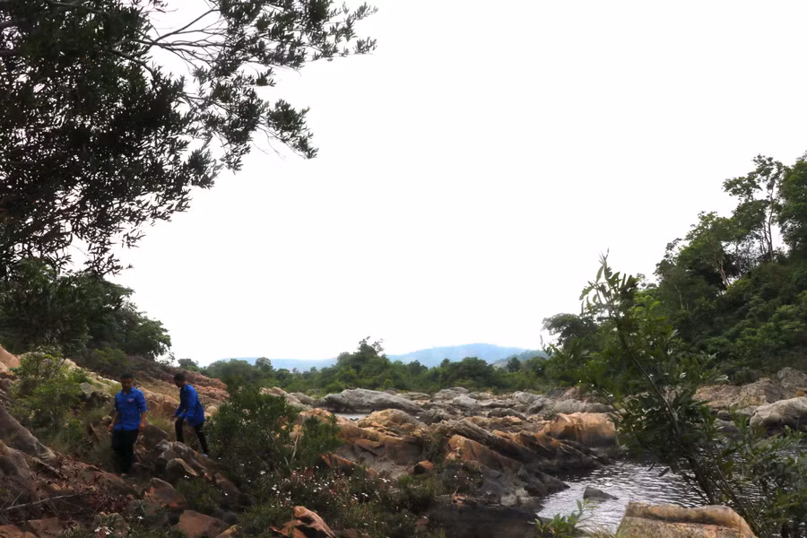 Giữa các khối đá xù xì đen sạm, một vài loài hoa dại có sức sống mãnh liệt cắm rễ phát triển nở hoa, khoe sắc, góp phần cho khung cảnh thêm phần thơ mộng. Ảnh: Ngọc Minh