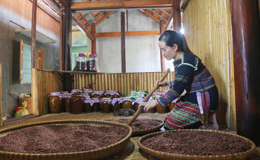 Chị Đinh Thị Đách (làng Đăk Giang 2, xã Đông, huyện Kbang) phơi hạt bo bo sau khi nấu chín để chuẩn bị ủ men rượu. Ảnh: Hà Duyệt Chị Đinh Thị Đách (làng Đăk Giang 2, xã Đông, huyện Kbang) phơi hạt bo bo sau khi nấu chín để chuẩn bị ủ men rượu. Ảnh: Hà Duyệt