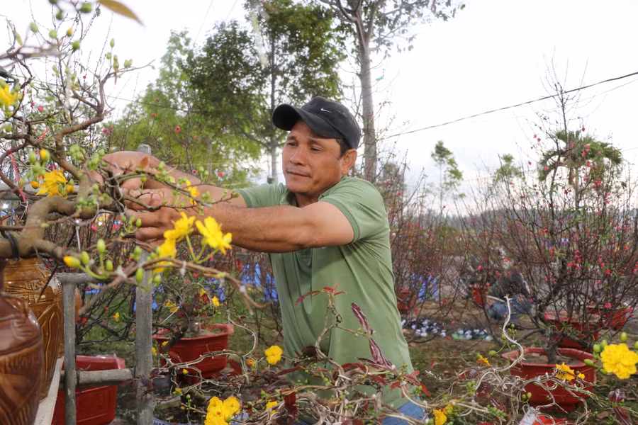 Anh Nguyễn Hữu Cảnh (thôn Mỹ Thạnh, xã Nhơn Phúc, thị xã An Nhơn, tỉnh Bình Định) chăm sóc những chậu mai kiểng. Ảnh: Ngọc Minh