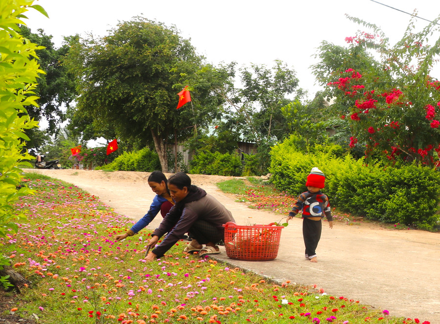Hội viên phụ nữ làng Đê Chơ Gang (xã Phú An, huyện Đak Pơ) trồng hàng rào xanh, con đường hoa tạo cảnh quan làng quê thêm rực rỡ. Ảnh: Ngọc Minh