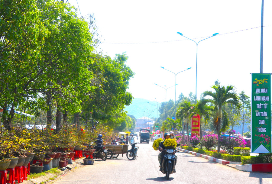 Thị xã An Khê tổ chức Hội hoa Xuân tại khu vực Hội trường 23-3 (đường Chu Văn An, phường An Tân) tạo điều kiện thuận lợi hơn cho người dân tham quan, mua sắm. Ảnh: Ngọc Minh Thị xã An Khê tổ chức Hội hoa Xuân tại khu vực Hội trường 23-3 (đường Chu Văn An, phường An Tân) tạo điều kiện thuận lợi hơn cho người dân tham quan, mua sắm. Ảnh: Ngọc Minh