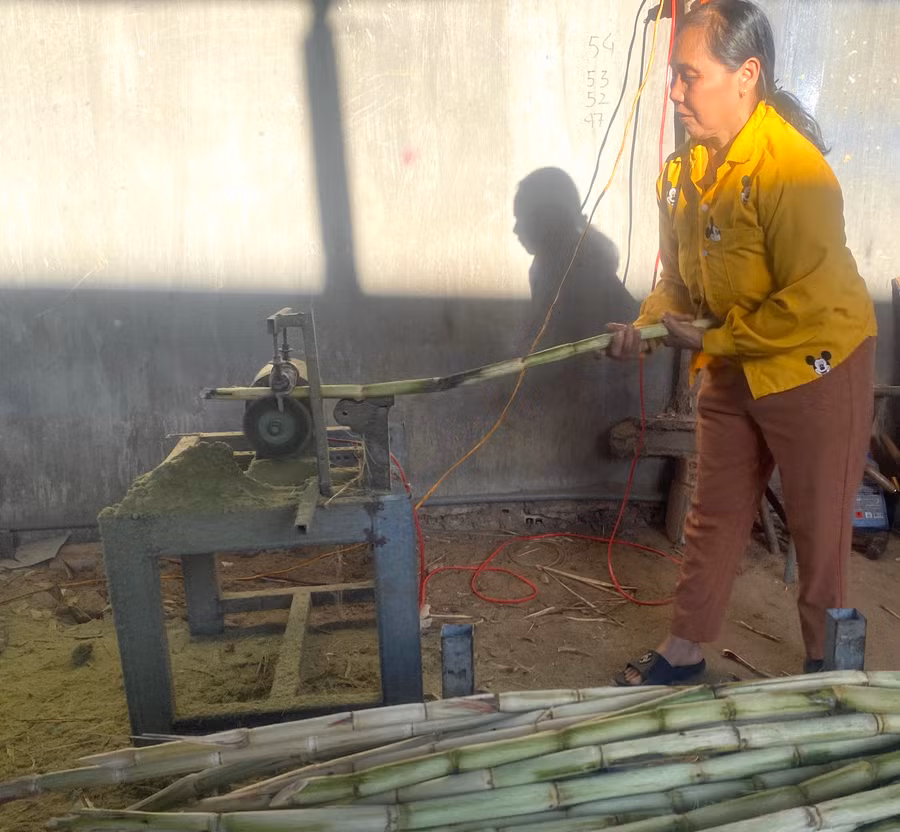 Bà Châu Thị Ánh (tổ 2, phường An Phú, thị xã An Khê, tỉnh Gia Lai) tất bật cạo vỏ mía giao cho quán nước trên địa bàn thị xã. Ảnh: Ngọc Minh