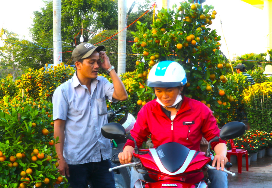 Chị Phạm Thị Son (thôn An Thạch, xã Xuân An, thị xã An Khê) mua 1 cây quất cảnh về trưng Tết. Ảnh: Ngọc Minh Chị Phạm Thị Son (thôn An Thạch, xã Xuân An, thị xã An Khê) mua 1 cây quất cảnh về trưng Tết. Ảnh: Ngọc Minh