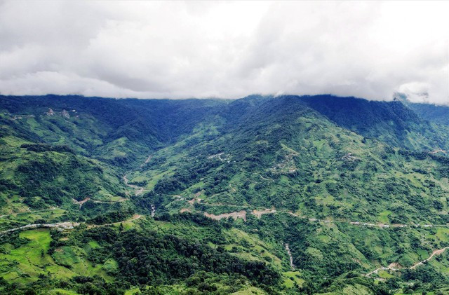 Mắt thường thẩm định quốc bảo Ngọc Linh - Ảnh 1. Đỉnh núi Ngọc Linh, nơi có giống sâm Ngọc Linh quý hiếm. Ảnh: MẠNH CƯỜNG