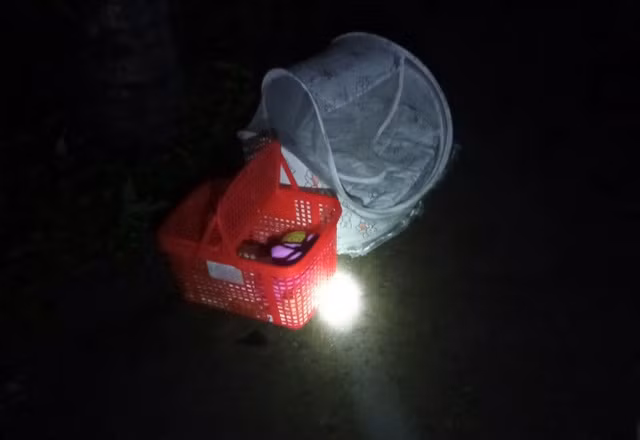 Bé trai sơ sinh bị bỏ rơi giữa trời lạnh, kèm một bức thư. CÔNG AN XÃ XUÂN QUANG 3