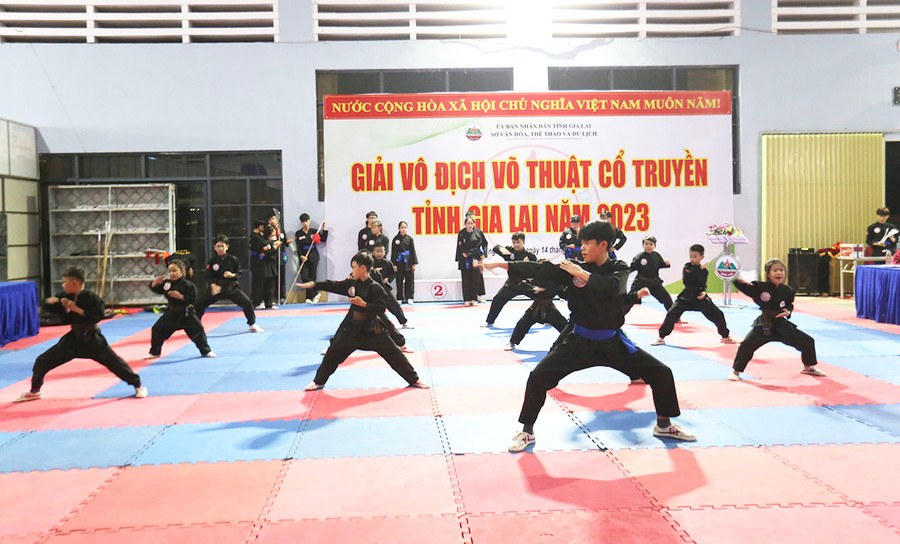 Giải Võ thuật cổ truyền toàn tỉnh năm 2023 thu hút gần 200 VĐV tham gia. Ảnh: L.V.N