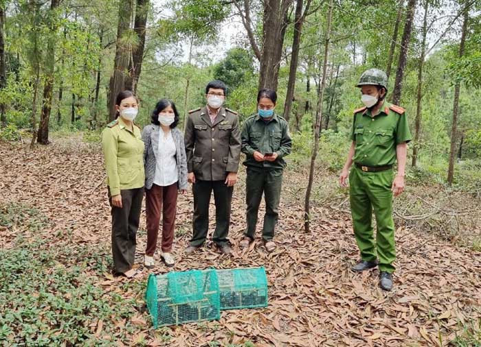 Lực lượng chức năng xử lý những người bẫy bắt chim rừng trái phép. Lực lượng chức năng xử lý những người bẫy bắt chim rừng trái phép.