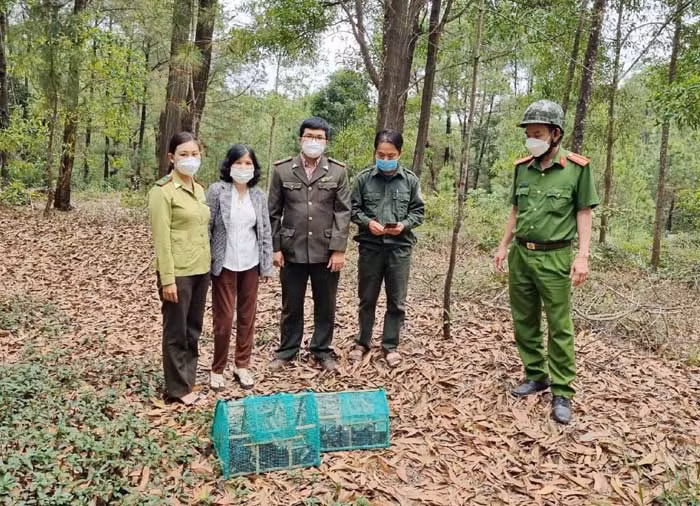 Lực lượng chức năng xử lý những người bẫy bắt chim rừng trái phép.