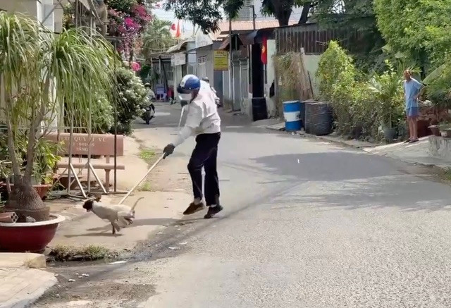 Lực lượng chức năng tỉnh Đồng Nai bắt chó thả rông. Ảnh minh hoạ