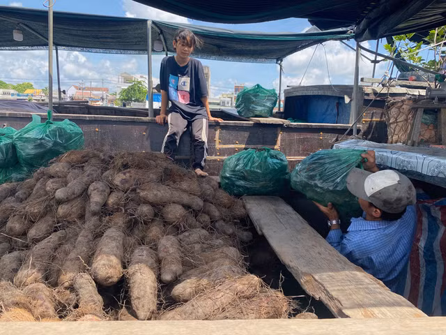 Anh Thái và con gái đang giao khoai ngọt cho khách.