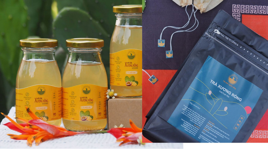 Sản phẩm trà, nước ép xương rồng do anh Huy sản xuất. Ảnh: PHÚC KHA