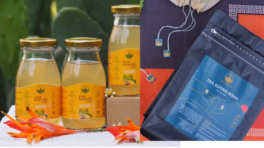 Sản phẩm trà, nước ép xương rồng do anh Huy sản xuất. Ảnh: PHÚC KHA