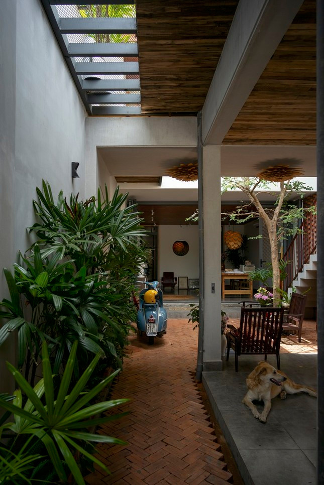 Tầng một như một &quot;hang dế&quot; dưới lòng đất nhưng không tối tăm và bí bách nhờ những giếng trời và khe sáng được thiết kế khắp nhà.