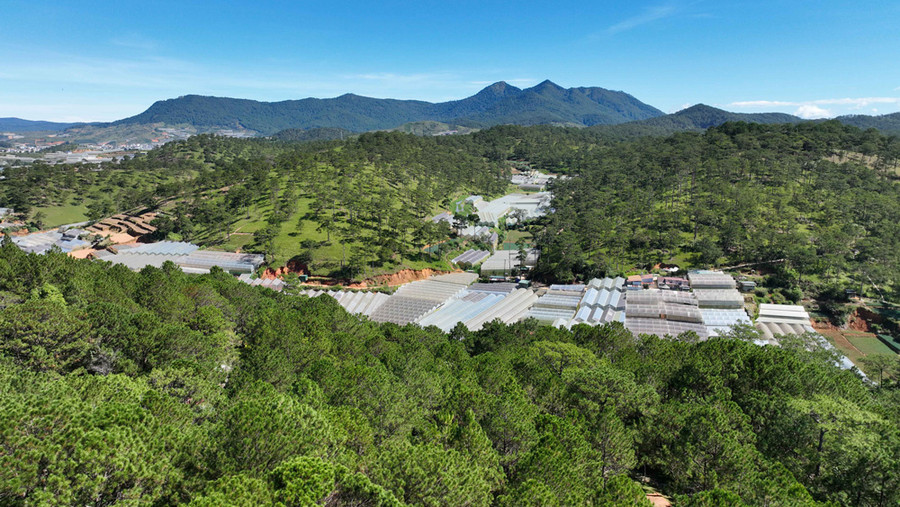 Nếu dạo bước lên cầu vào lúc sớm mai, du khách có thể thấy mình bồng bềnh trên mây, bởi màn sương uốn lượn quanh những ngọn đồi... cùng với không khí se lạnh, là những mảng rừng thông xanh bao la, đỉnh Bidoup - Núi Bà, những vườn rau, vườn hoa, những con đường nhỏ... đang xanh dần cùng nắng lên... Nếu dạo bước lên cầu vào lúc sớm mai, du khách có thể thấy mình bồng bềnh trên mây, bởi màn sương uốn lượn quanh những ngọn đồi... cùng với không khí se lạnh, là những mảng rừng thông xanh bao la, đỉnh Bidoup - Núi Bà, những vườn rau, vườn hoa, những con đường nhỏ... đang xanh dần cùng nắng lên...