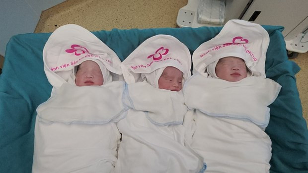 Sản phụ mang 3 thai gồm một bé trai khác trứng và 2 bé gái cùng trứng. (Ảnh: PV/Vietnam+) Sản phụ mang 3 thai gồm một bé trai khác trứng và 2 bé gái cùng trứng. (Ảnh: PV/Vietnam+)