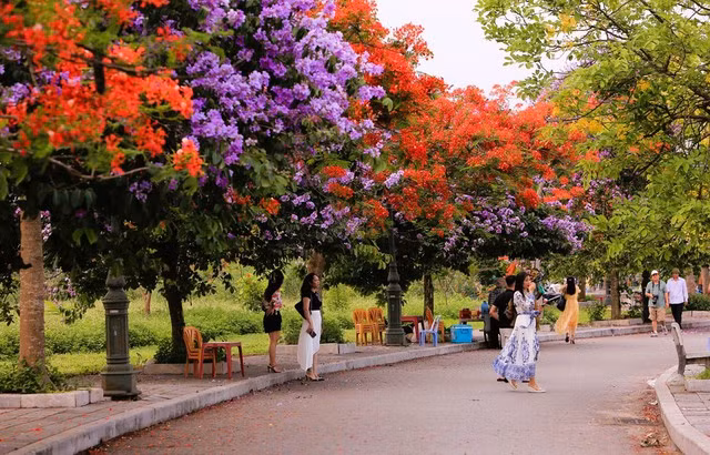 Rất nhiều người, đặc biệt là các bạn trẻ, học sinh, sinh viên... đã đổ xô về hồ Đồng Chiệc để check-in, chụp ảnh lưu lại những khoảnh khắc đáng nhớ.