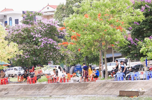 Nhiều người ra công viên vui chơi, uống nước ngắm hoa nở Nhiều người ra công viên vui chơi, uống nước ngắm hoa nở