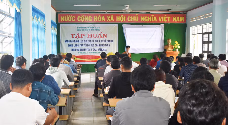 Quang cảnh lớp tập huấn. Ảnh: Minh Thoan