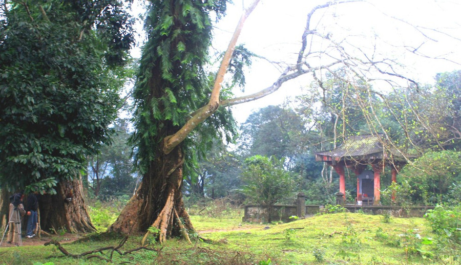 Nhà bia tưởng niệm Phan Đình Phùng và nghĩa quân.