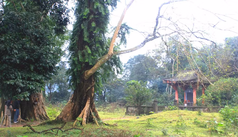 Nhà bia tưởng niệm Phan Đình Phùng và nghĩa quân.