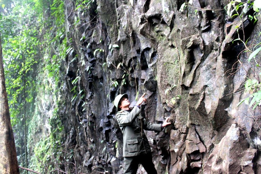 Thành Phan Đình Phùng.