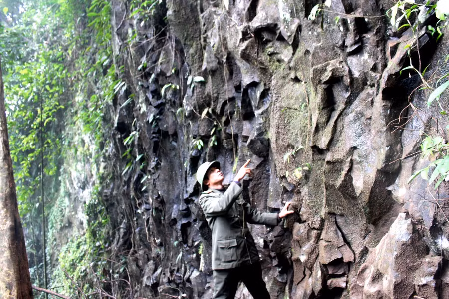 Thành Phan Đình Phùng.