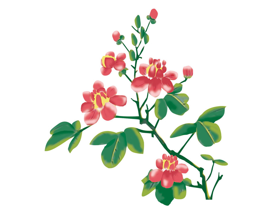 Minh họa: Huyền Trang Minh họa: Huyền Trang