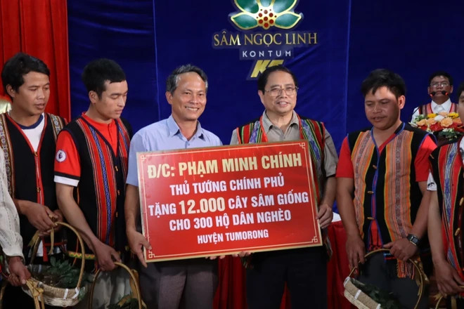 Trong chuyến công tác đến huyện Tu Mơ Rông (tỉnh Kon Tum) tháng 8/2023, Thủ tướng Phạm Minh Chính đã tặng 12.000 cây sâm giống cho 300 hộ nghèo. (Ảnh: Cao Nguyên/TTXVN)