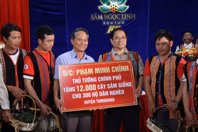 Trong chuyến công tác đến huyện Tu Mơ Rông (tỉnh Kon Tum) tháng 8/2023, Thủ tướng Phạm Minh Chính đã tặng 12.000 cây sâm giống cho 300 hộ nghèo. (Ảnh: Cao Nguyên/TTXVN)