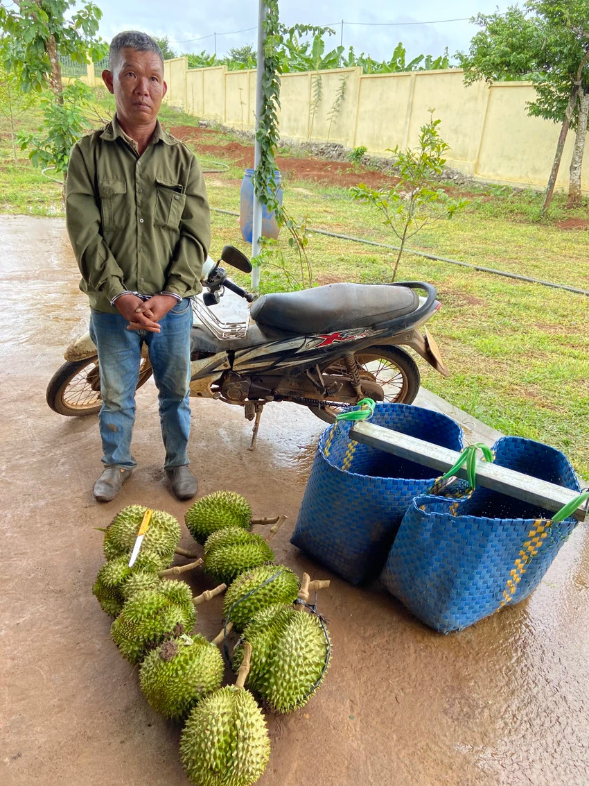 Bị can Hiển và tang vật là 9 quả sầu riêng. Ảnh: AX Bị can Hiển và tang vật là 9 quả sầu riêng. Ảnh: AX