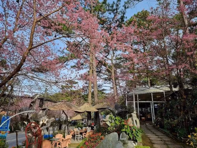 Đà Lạt là điểm đến hàng đầu được khách trong nước lựa chọn dịp Tết 2024. Ảnh: GIA BÌNH