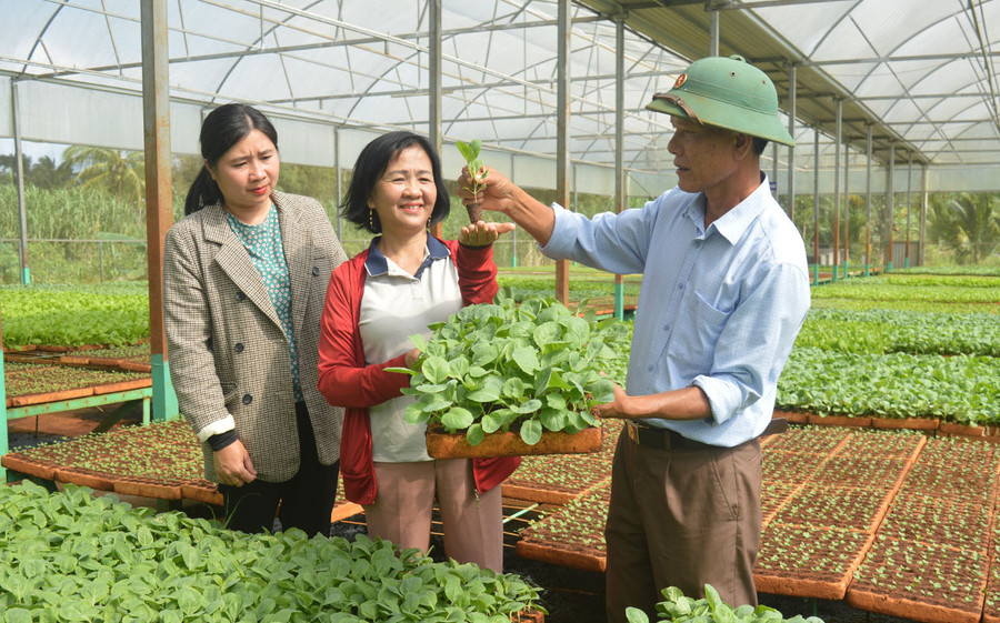 Nhiều nông dân đã ứng dụng khoa học kỹ thuật vào sản xuất nhằm nâng cao hiệu quả kinh tế. Ảnh: P.D Nhiều nông dân đã ứng dụng khoa học kỹ thuật vào sản xuất nhằm nâng cao hiệu quả kinh tế. Ảnh: P.D